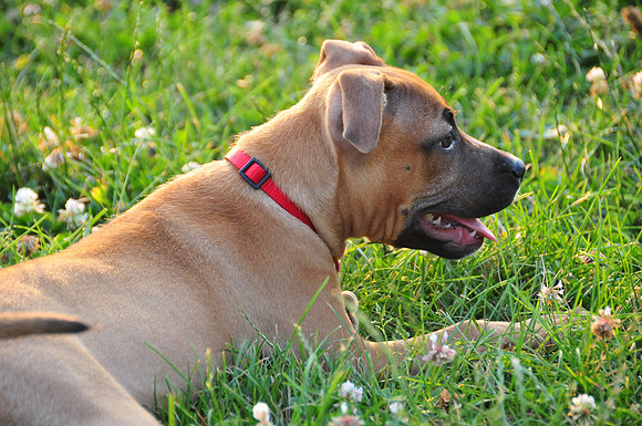 Ruby