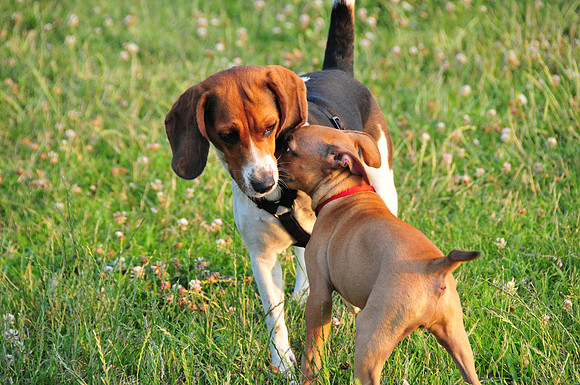 Billy and Ruby