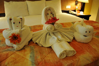 Towel Creatures