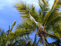 Key West