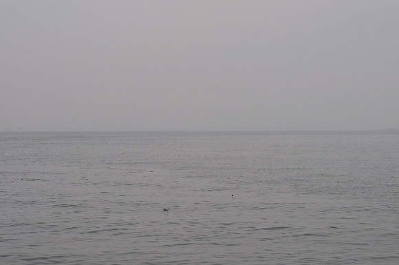 No Line On The Horizon