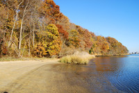 Fall