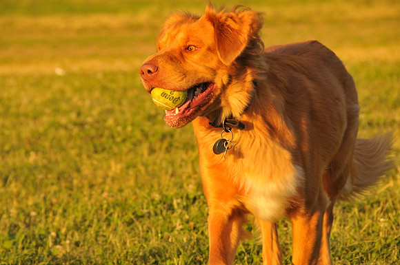 Rusty